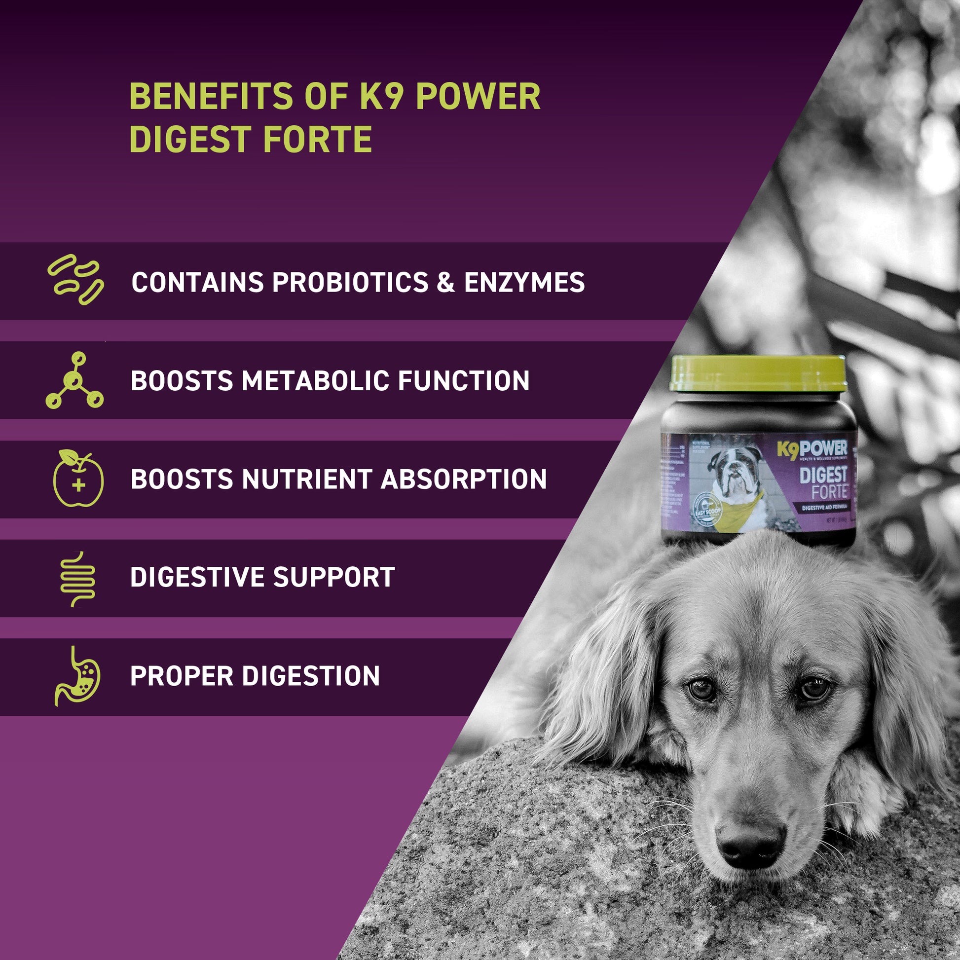 Benefits of Digest Forte