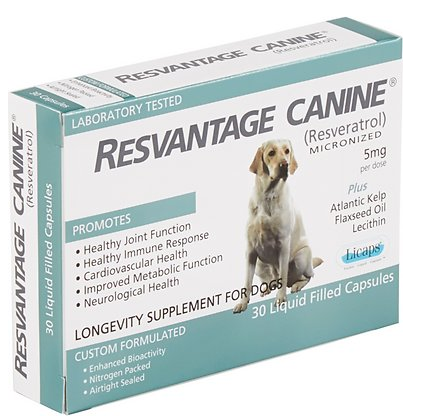 Resvantage Canine - Resveratrol supplement