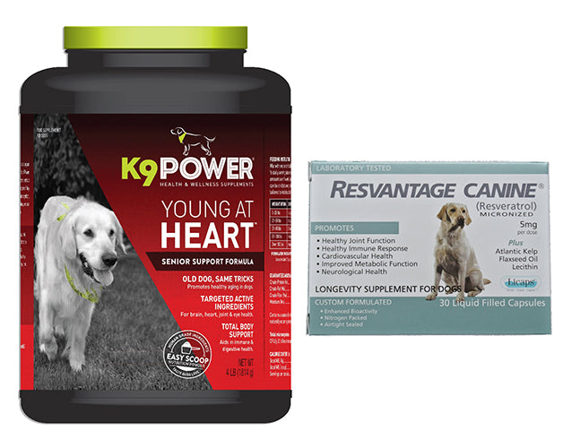 K9 Power Young at Heart & Resvantage Canine